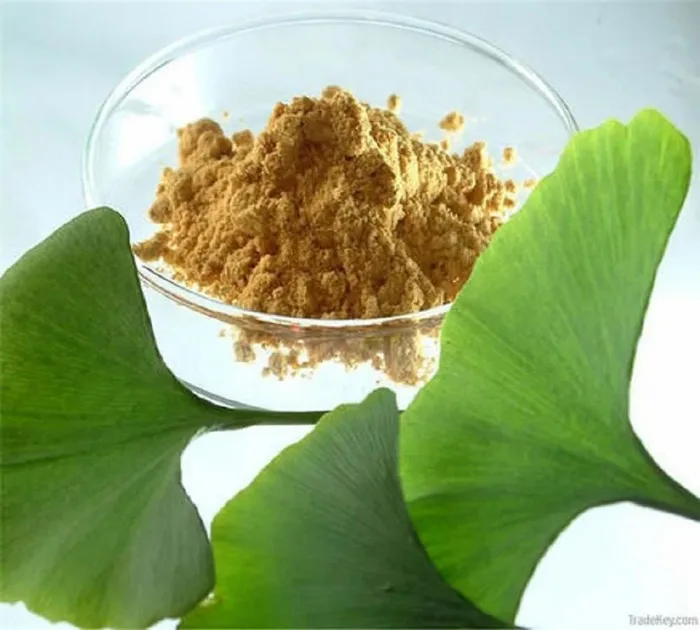 Ginkgo Biloba Leaf Extract