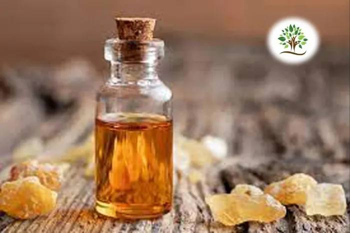 Frankincense Essential Oil