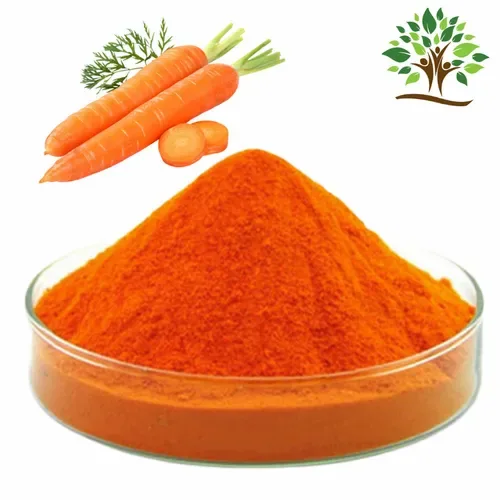Spray Dried Carrot Powder