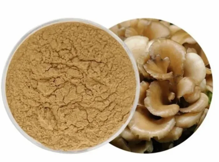 Mushroom Extract Powder