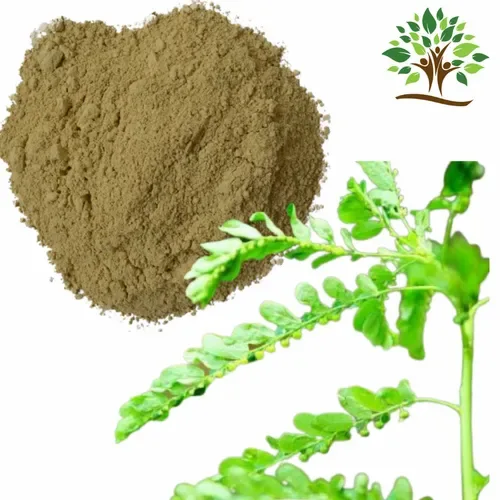 Bhumi Amla Extract