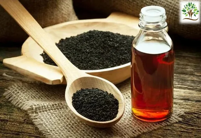 Organic Babchi Oil