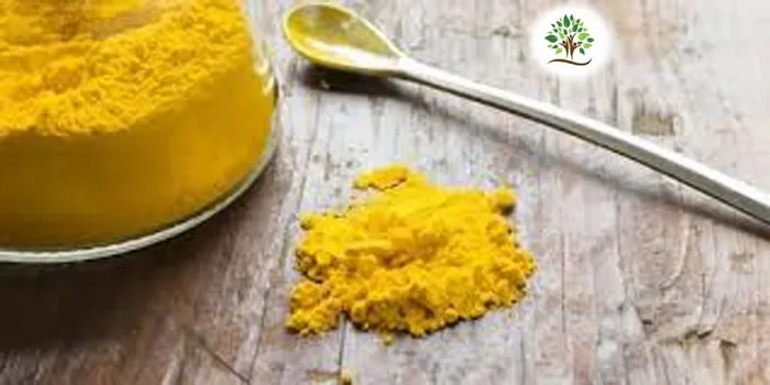 Quercetin Dihydrate Powder