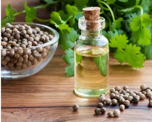 Coriander Essential Oil