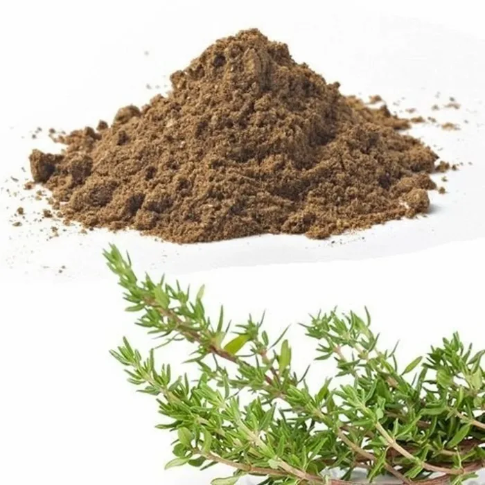 Thyme Extract (T. vulgaris)