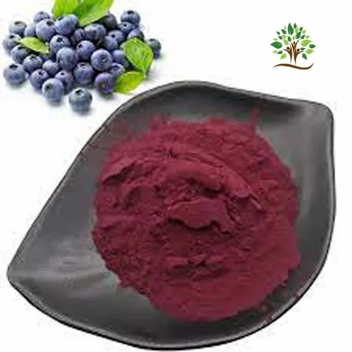 Bilberry Fruit Extract
