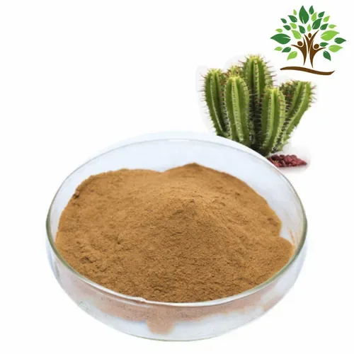 Cactus Extract powder