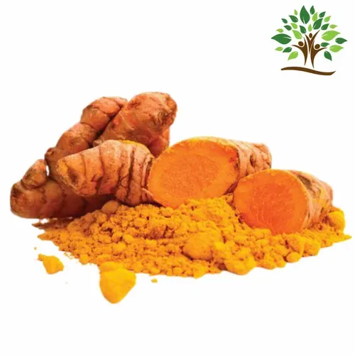 Curcumin Extract Powder