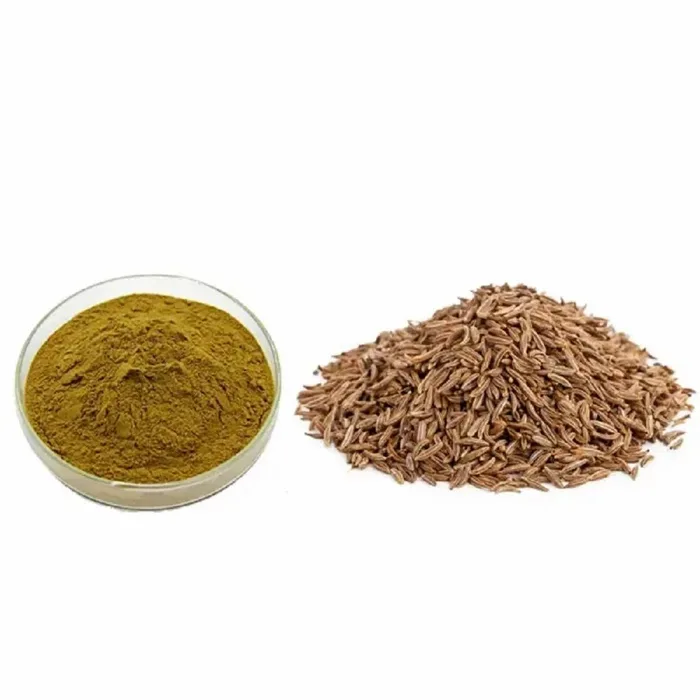 Caraway Seed Extract