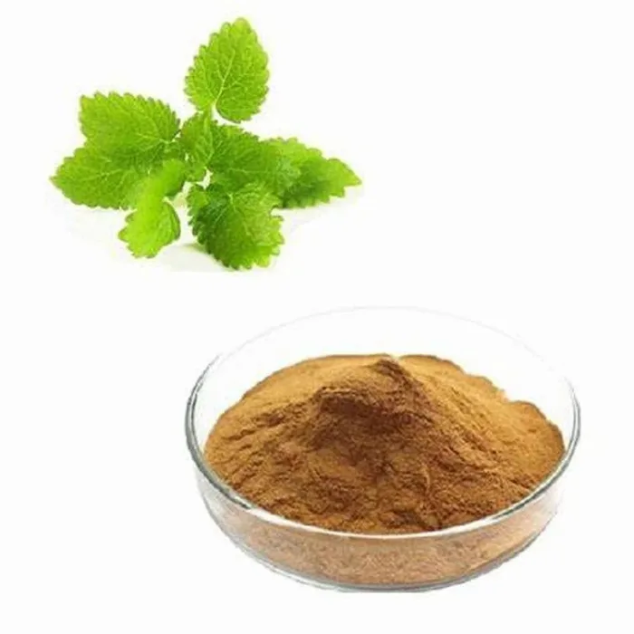 Lemon Balm Leaf Extract