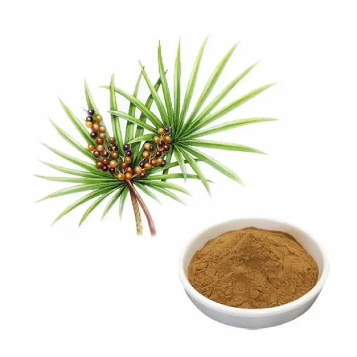 Saw Palmetto Herbal Extract Powder