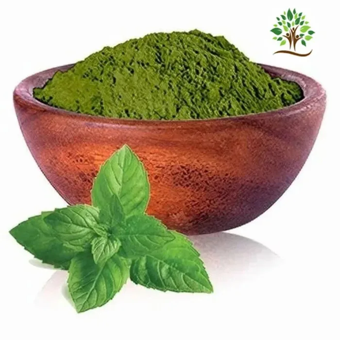 Mint Extract Powder