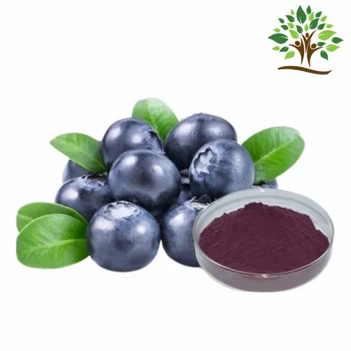 Acai Berry Extract Powder
