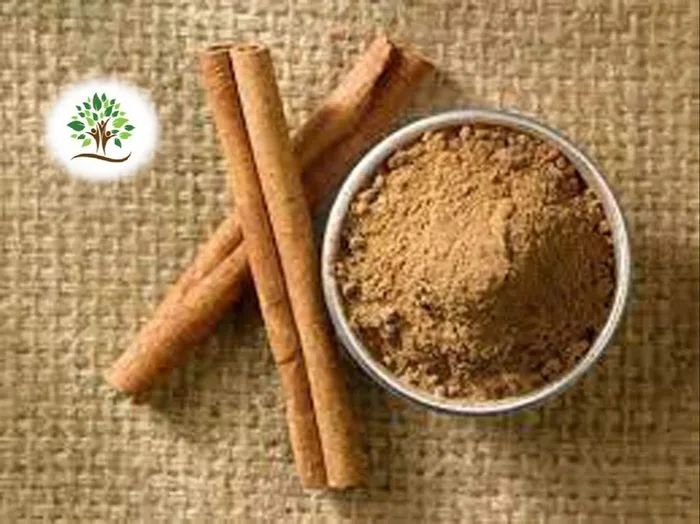 Cinnamon Extract Powder