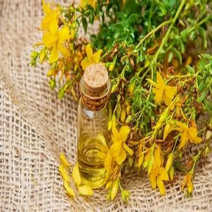 St. Johns Wort Plant Extract