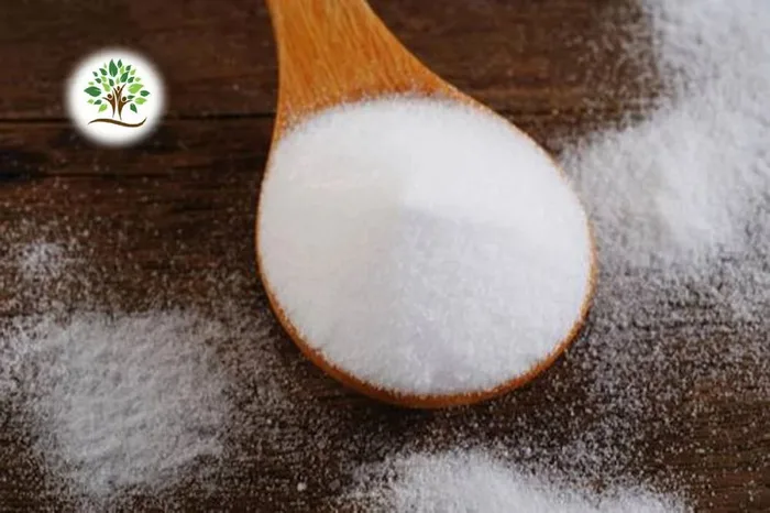 Beta Alanine Powder