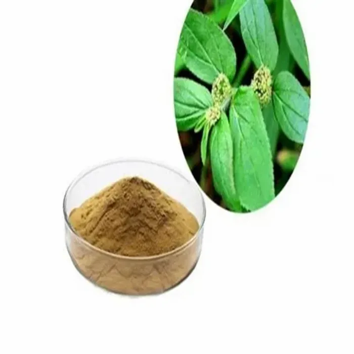 Euphorbia Hidra Linn. / E. Thymifolis Linn.Extract