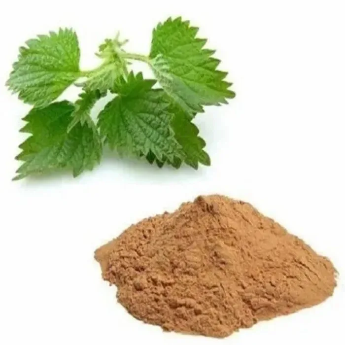 Nettle Extract Powder (Urtica Parviflora / U. Dioica)
