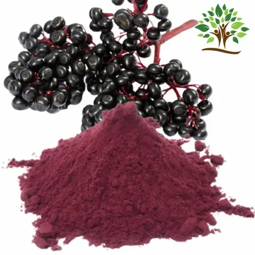 Elderberry Extract Powder