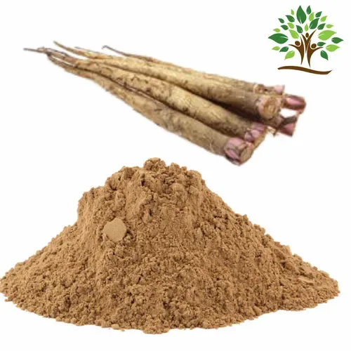 Burdock Extract Powder