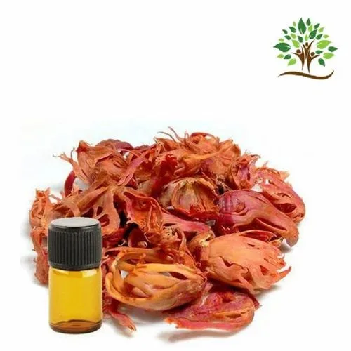 Mace Oil