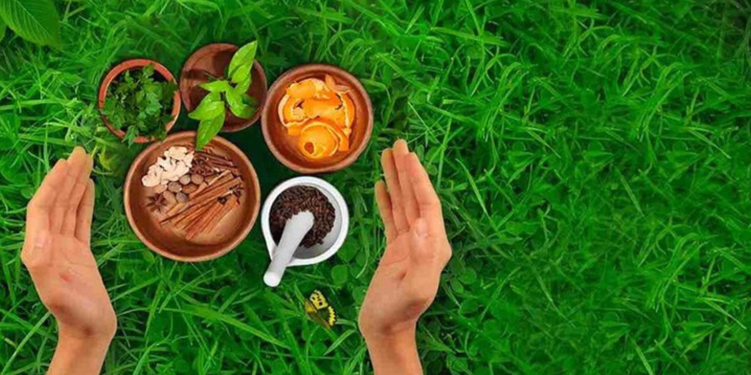 WELCOME TO ALLPURE ORGANICS We are Manufacturer & Exporter of Herbal Extract (4)